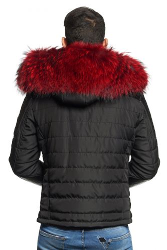 Blouson Homme Horspist Carlton noir col rouge. 
