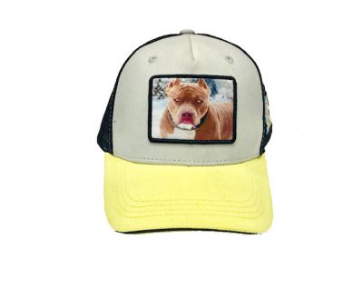 casquette lograda avec pittbull