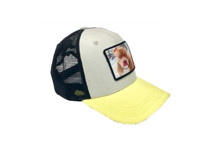 casquette animaux
