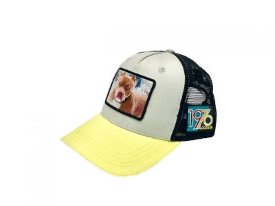 CASQUETTE LOGRADA PIT BULL yellow