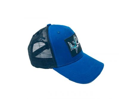 casquette shark brodé